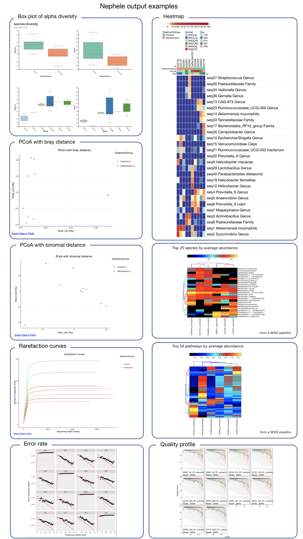 images of example pipeline outputs